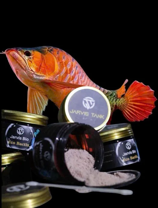 Vật liệu & phụ kiện